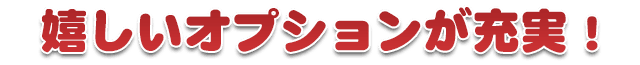 嬉しいオプションが充実！