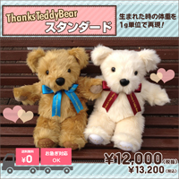 サンクステディベア：スタンダード