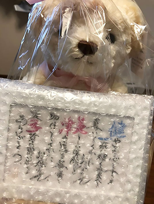 いただいたお写真