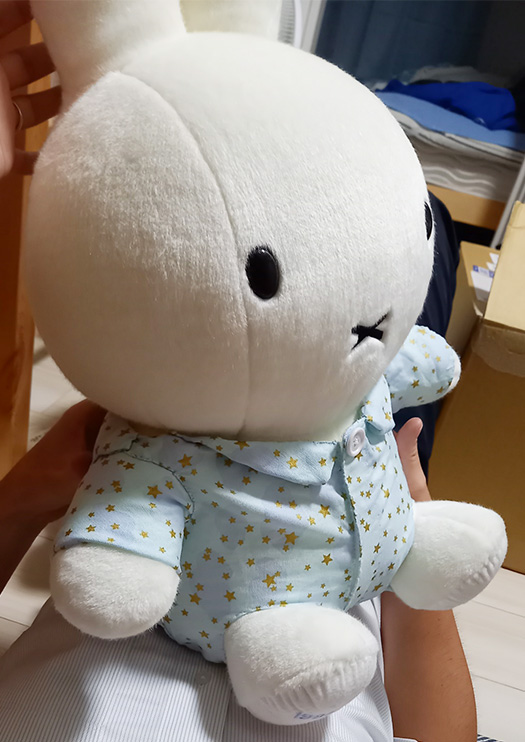 いただいたお写真