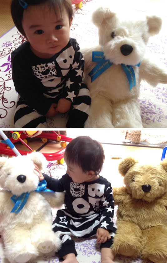 いただいたお写真