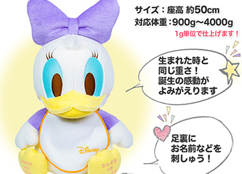 ベビーデイジー（スタイ）