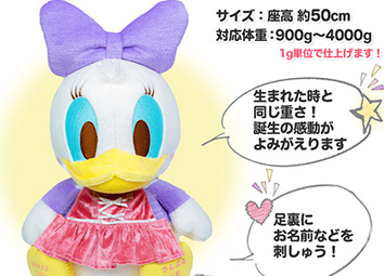 ベビーデイジー(フォーマル)