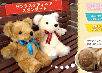 サンクステディベア スタンダード