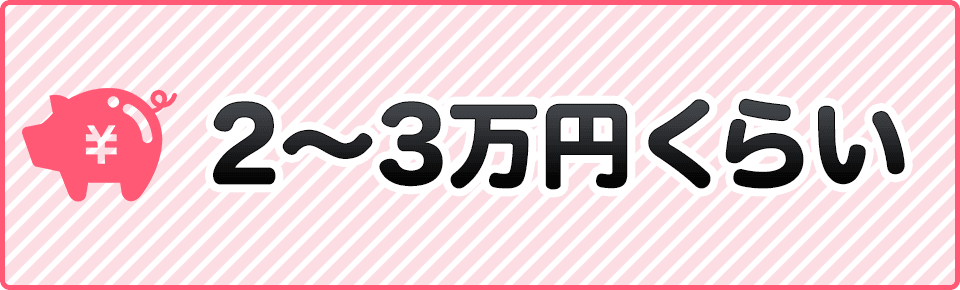 2～3万円くらい