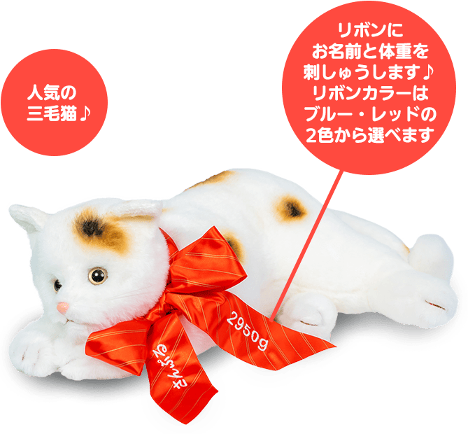 ウェイトドッグ＆キャットの特徴