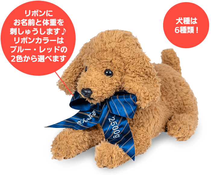 犬のウェイトドール特集♪ 可愛いワンちゃんが大集合 | 体重ベア