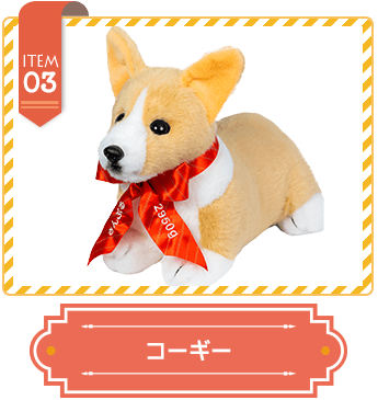 コーギー