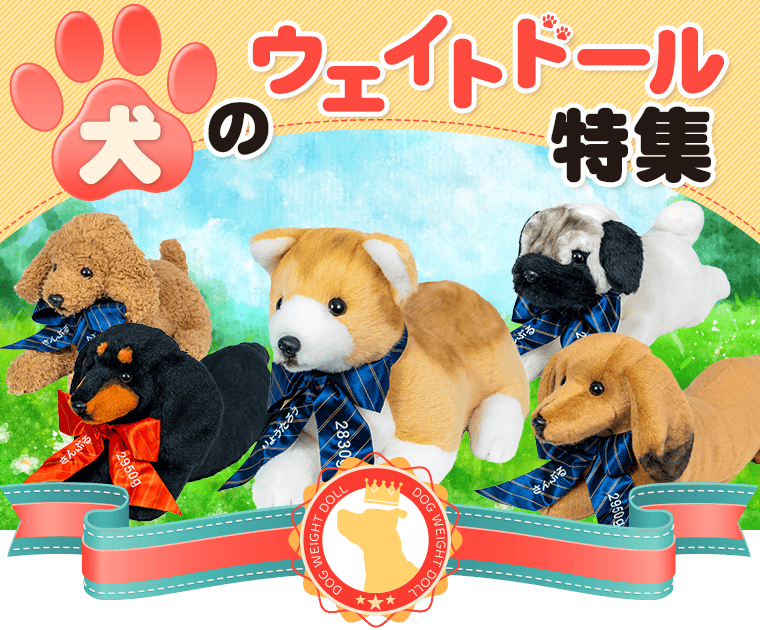 犬のウェイトドール特集♪ 可愛いワンちゃんが大集合 | 体重ベア