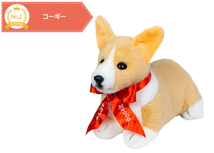 コーギー