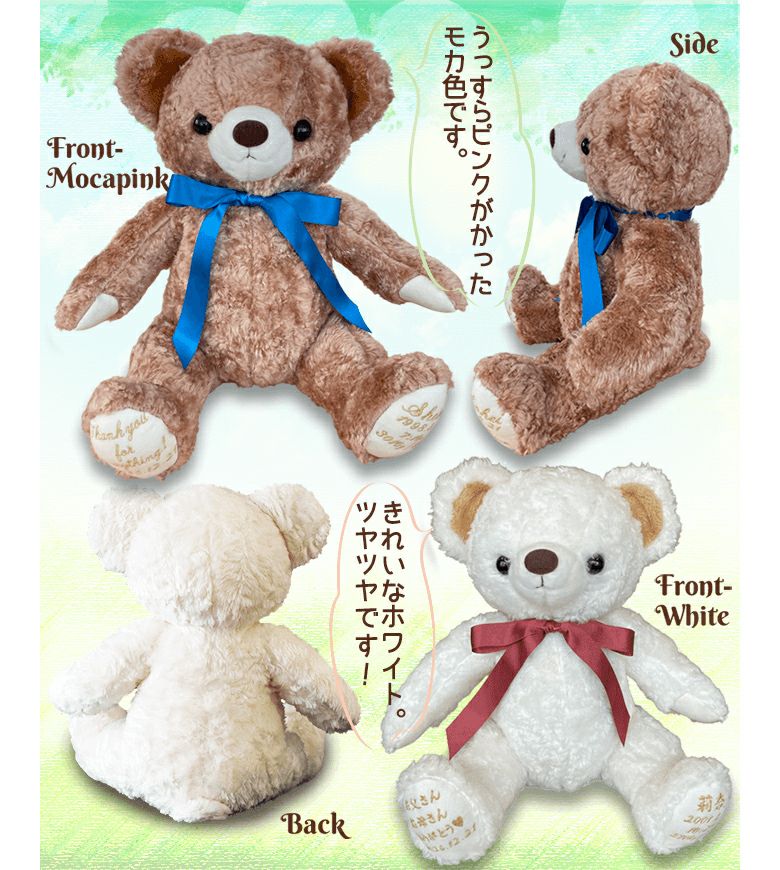 体重ベア「カリーナ」のカラー