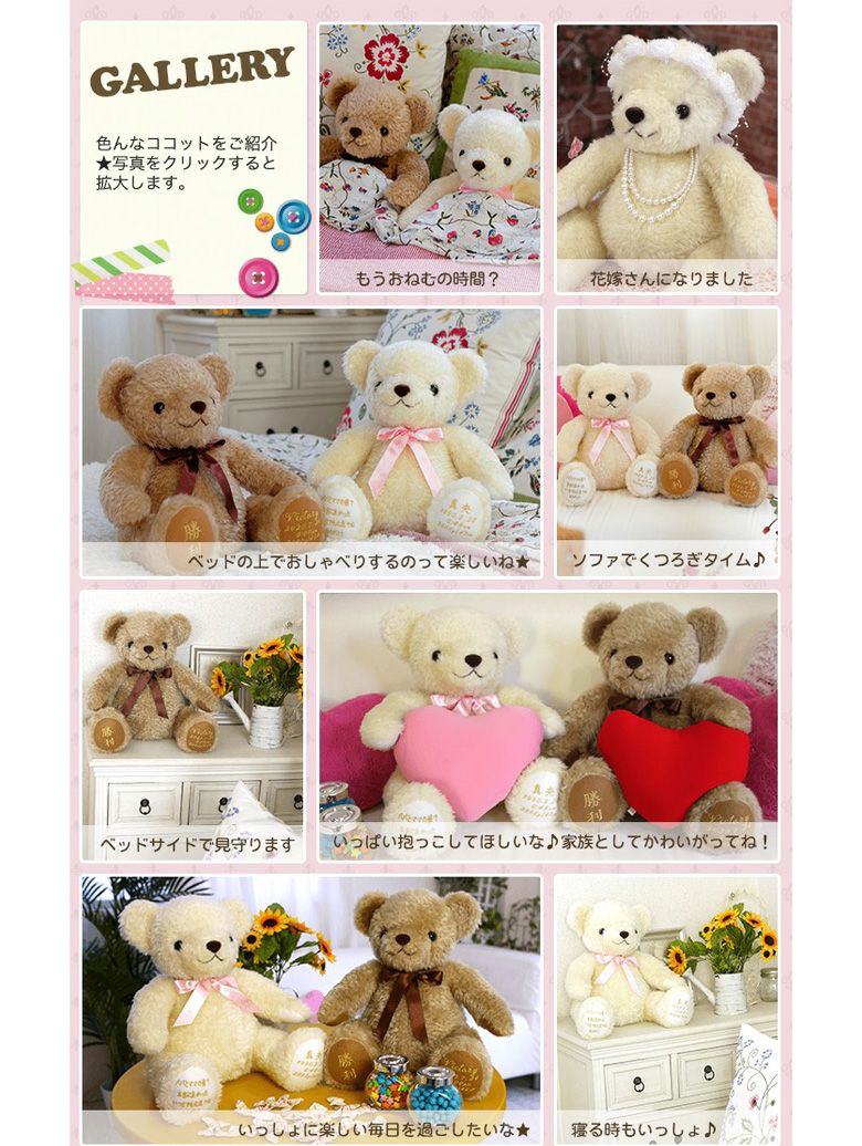 体重ベア「ココット」ギャラリー