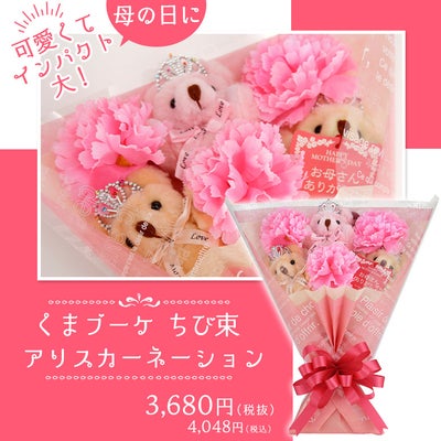 母の日用花束（チビ束） アリスカーネーション