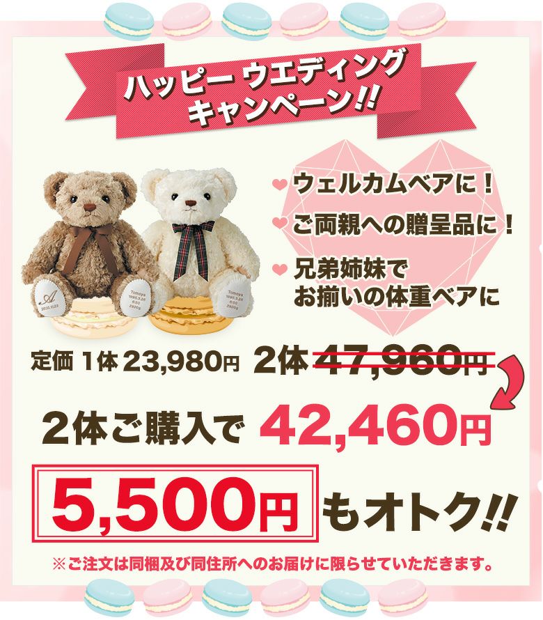 体重ベア マカロンベア2体セット