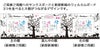ネームインポエム　happy family(3個セット)の商品詳細