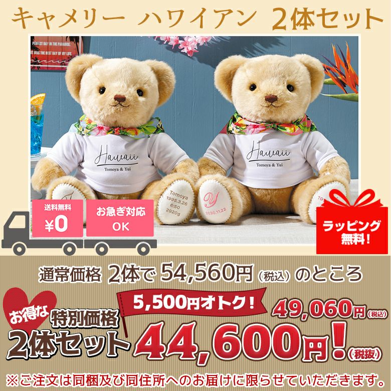 ウェイトベア2体セット(複数体セット)人気ランキング7位!キャメリー ハワイアン2体セット