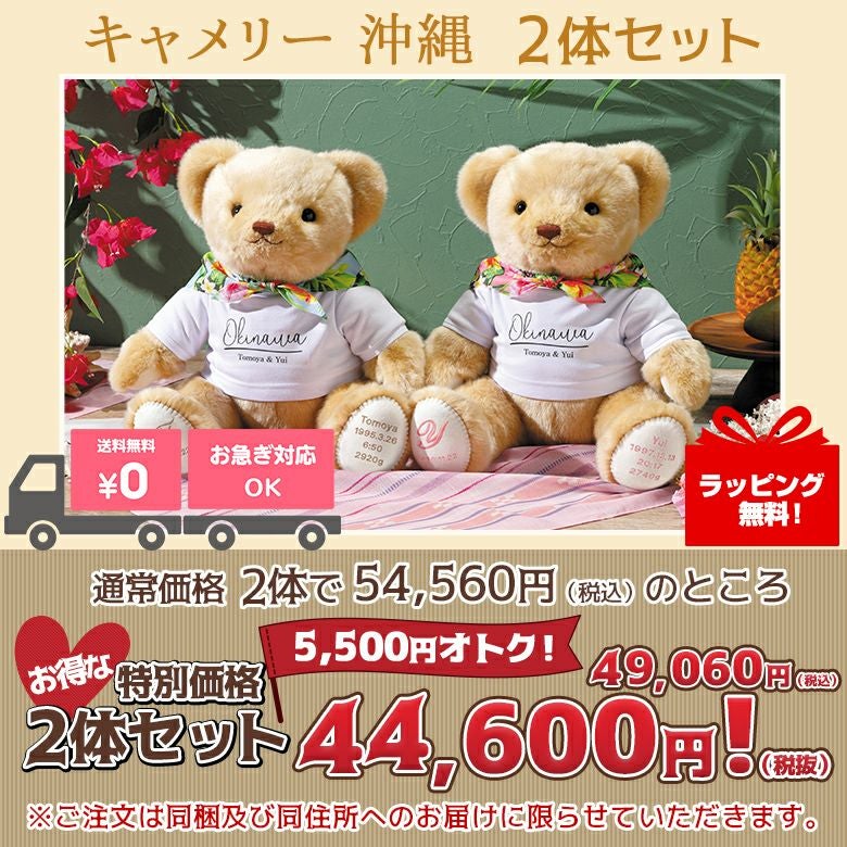 ウェイトベア2体セット(複数体セット)人気ランキング9位!キャメリー 沖縄2体セット