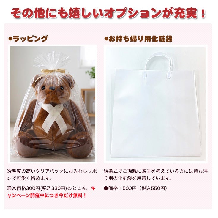 身長体重ベアTWのオプション