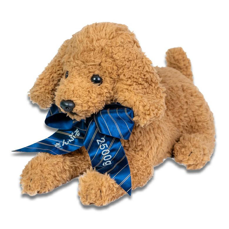 トイプードルのウェイトドール