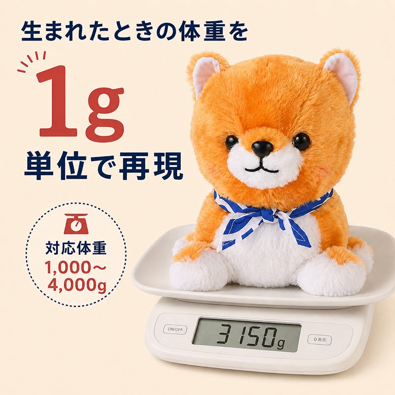 豆柴 三兄弟の豆太郎 ウェイトドール 生まれたときの体重を1mg単位で再現