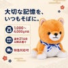 豆しば三兄弟の豆太郎 ウェイトドール 納期について