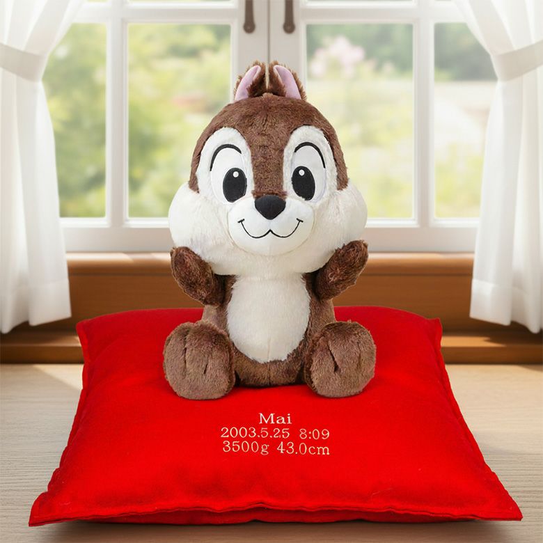 小さなチップのウェイトドール