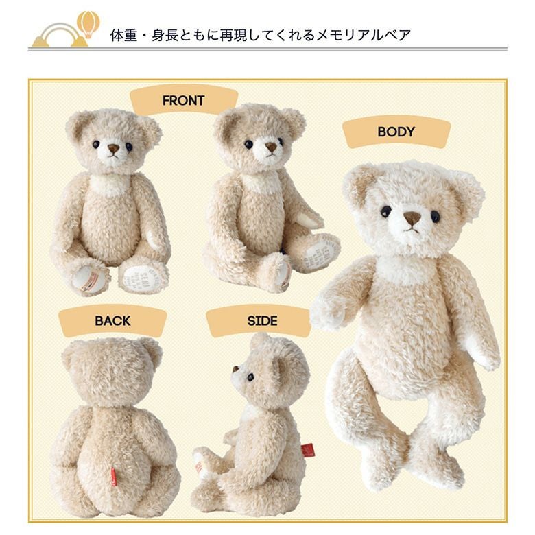 テディベア　国内アーティストベア　　 Chito-Bear 身長25 座高20 身長体重ベア】2025年限定メモリアルベア 秋冬モデル | 体重ベア