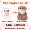 カワウソうそやん ウェイトドール 生まれたときの体重で作る（1,000g～4,000g対応）