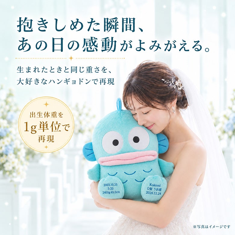 ハンギョドンのウェイトドール 出生体重を1g単位で再現