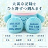 ハンギョドンのウェイトドールの足裏刺しゅう