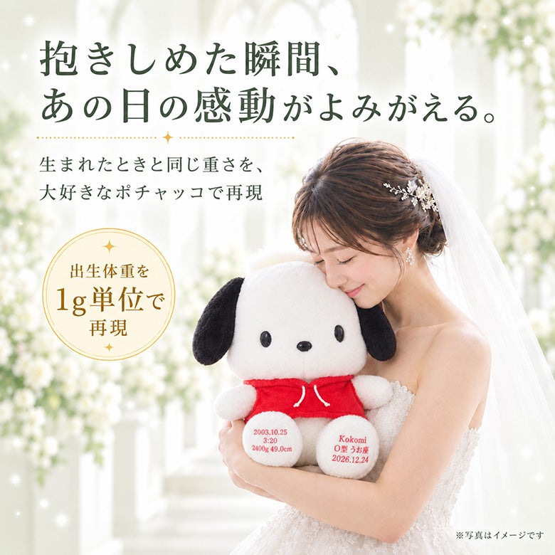 ポチャッコのウェイトドール 出生体重を1g単位で再現