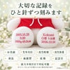 ポチャッコのウェイトドールの足裏刺しゅう