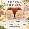 おさるのジョージのウェイトドールの足裏刺しゅう