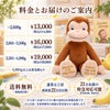 おさるのジョージのウェイトドール 料金とお届けのご案内