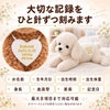 トイプードルのウェイトドール 刺しゅうできる項目