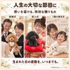 トイプードルのウェイトドールを人生の大切な節目に