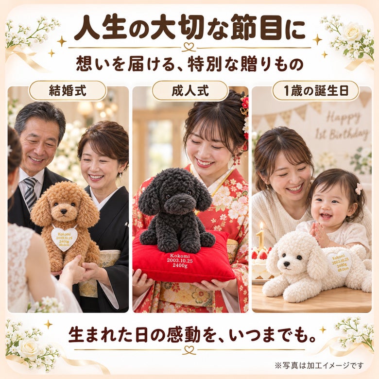 トイプードルのウェイトドールを人生の大切な節目に