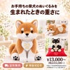 柴犬のウェイトドール