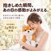 柴犬のウェイトドール 出生体重を1g単位で再現