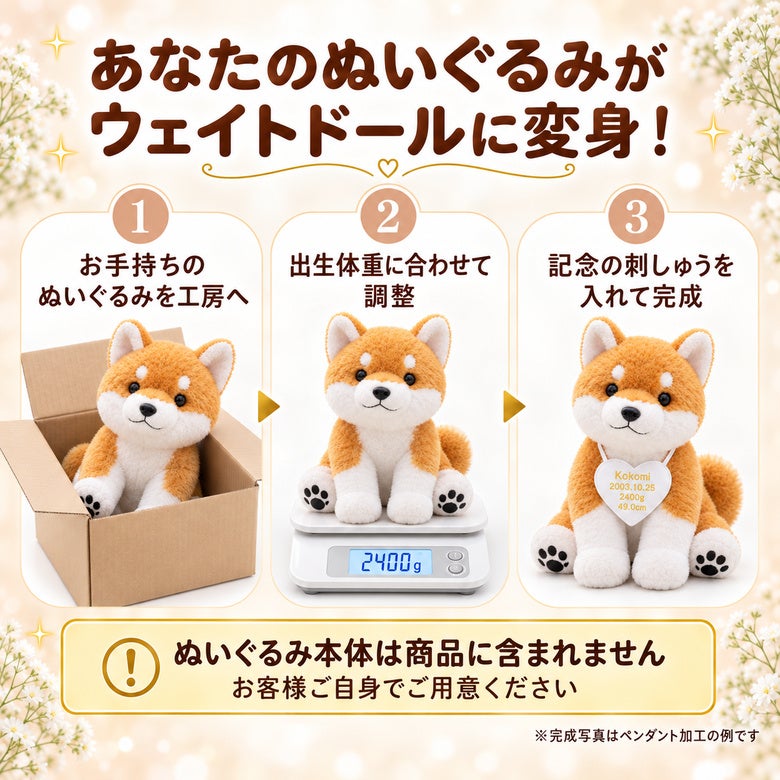 あなたの柴犬のぬいぐるみがウェイトドールに変身