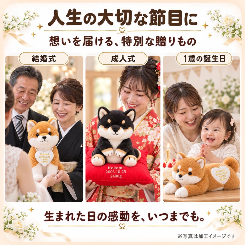 柴犬のウェイトドールを人生の大切な節目に