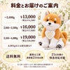 柴犬のウェイトドール 料金とお届けのご案内