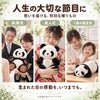 パンダのウェイトドールを人生の大切な節目に