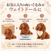あなたのダックスフンドのぬいぐるみがウェイトドールに変身