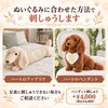 ダックスフンドのウェイトドール ぬいぐるみに合わせた方法で刺しゅうします