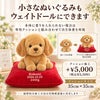 小さなゴールデンリトリバーもウェイトドールにできます