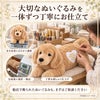 ゴールデンリトリバーのウェイトドール 大切なぬいぐるみを一体ずつ丁寧にお仕立て