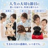 ラブラドールレトリバーのウェイトドールを人生の大切な節目に