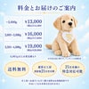 ラブラドールレトリバーのウェイトドール 料金とお届けのご案内