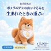 ポメラニアンのウェイトドール
